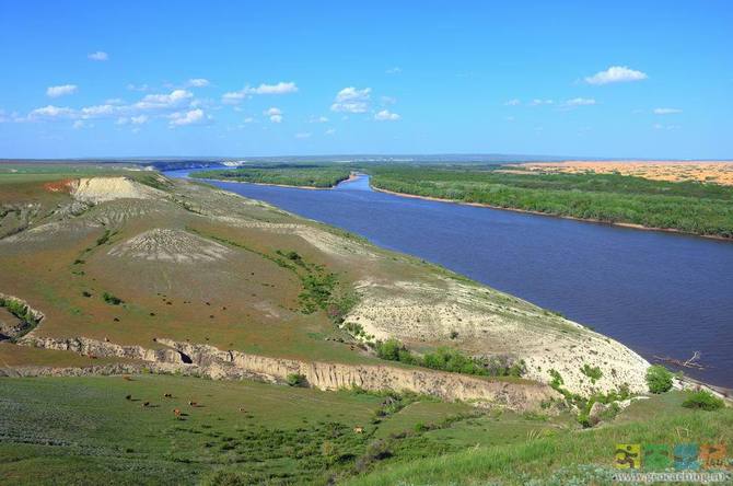 Калмыкия северный кавказ. Волга в Калмыкии. Река Волга в Калмыкии. Элиста Волга. Участок Волги в Калмыкии.