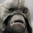 Gorobez